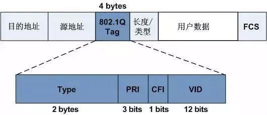 91海角社区下载的VLAN技术